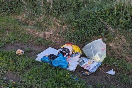 Mangelmeldung: Müll auf dem Weg zur Kleingarten-Anlage (4d92-8302)