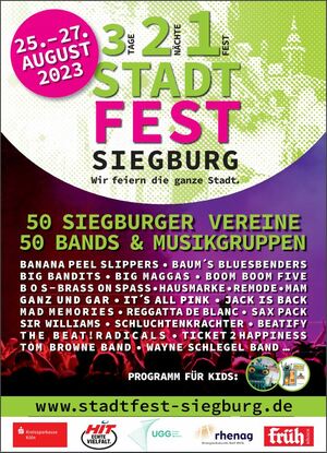 Abstimmung: Deine Meinung zum Siegburger Stadtfest